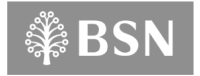 Logo-BSN